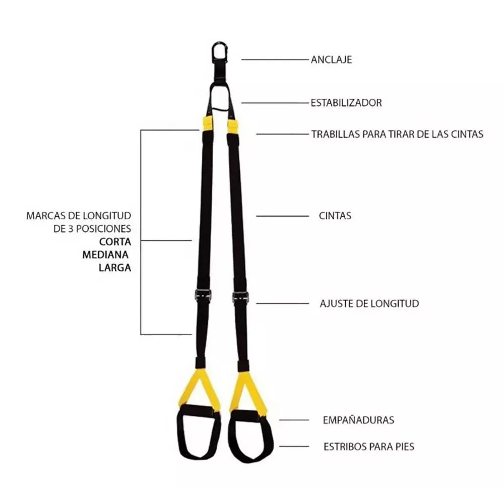 Kit Entrenamiento Bandas de Suspensión Training Fitness